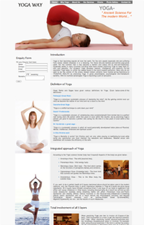 Professional Web Design